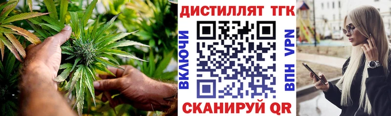 Купить закладки  Западная Двина  ТГК концентрат 