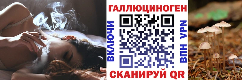 Купить где  Западная Двина  Псилоцибиновые грибы ЛСД 